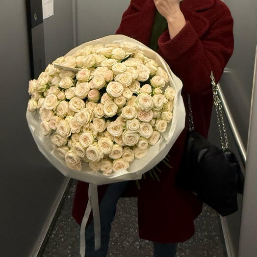 Cream roses