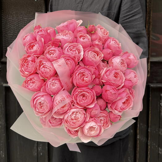 Silva Pink 11