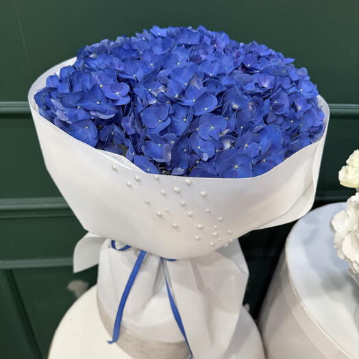 Blue hydrangeas