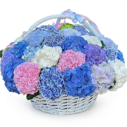 Ortanzia in Basket mix