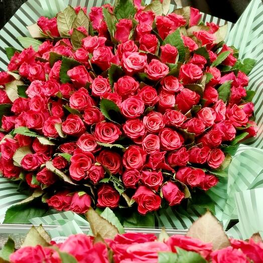 Roses 51 pink tacazzi