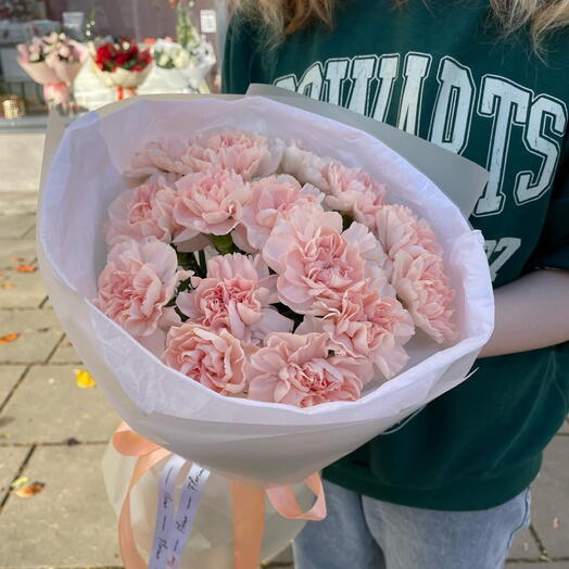 Carnations 15pcs