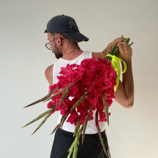 MONO OF PINK GLADIOLUSES