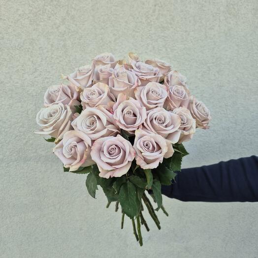 Roses "Menta"