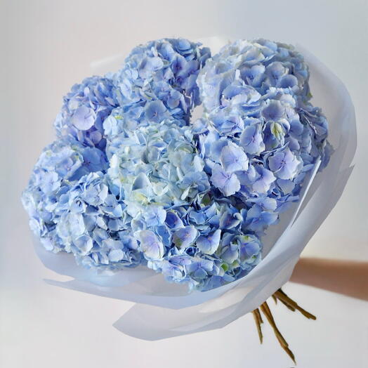 Blue hydrangeas - 9