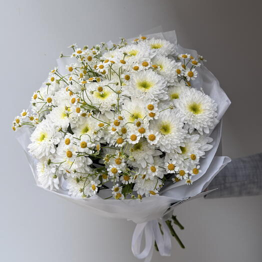 Chrysanthemum 5   Tansy 3