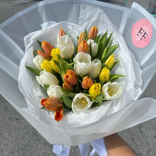 Cute tulips