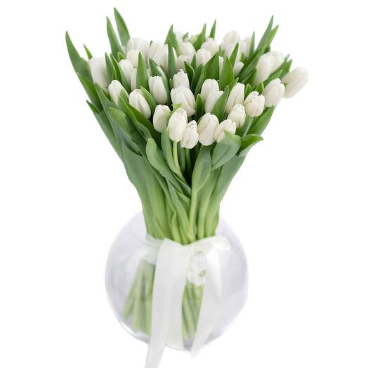 Mono bouquet of tulips 25 pcs