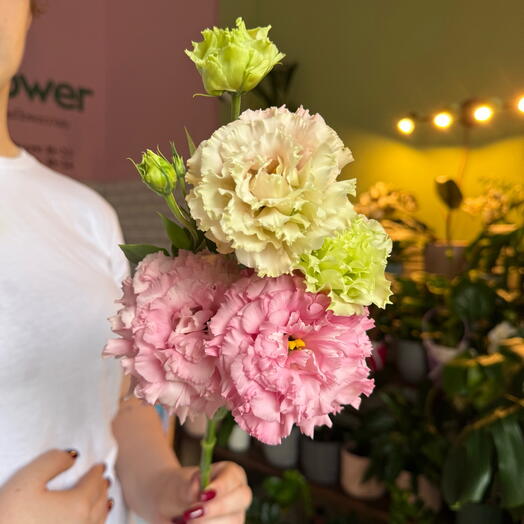 Pink eustoma