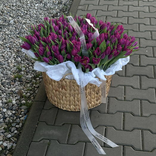201 tulips