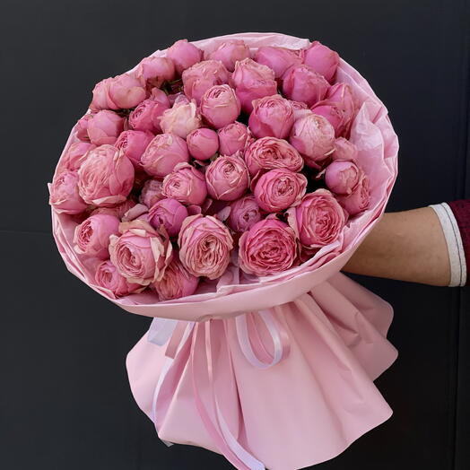 Tr. Rose Pink