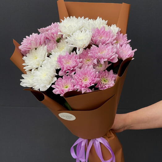 Chrysanthemum 💐