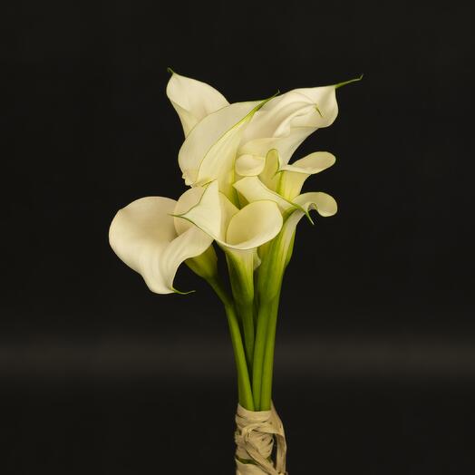 Bouquet of callas