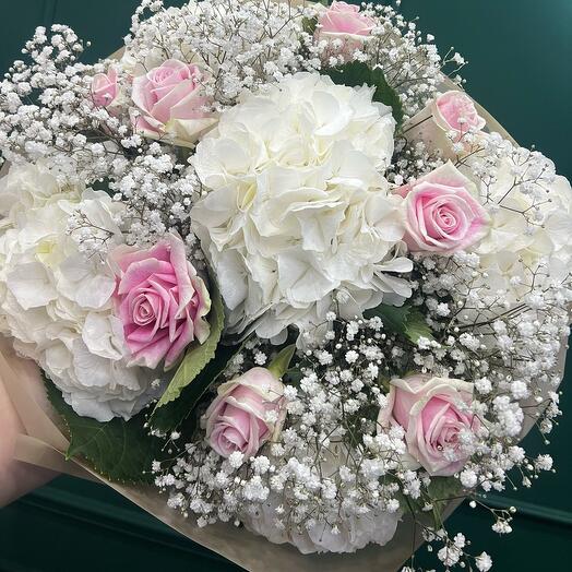 Rosa-Weis