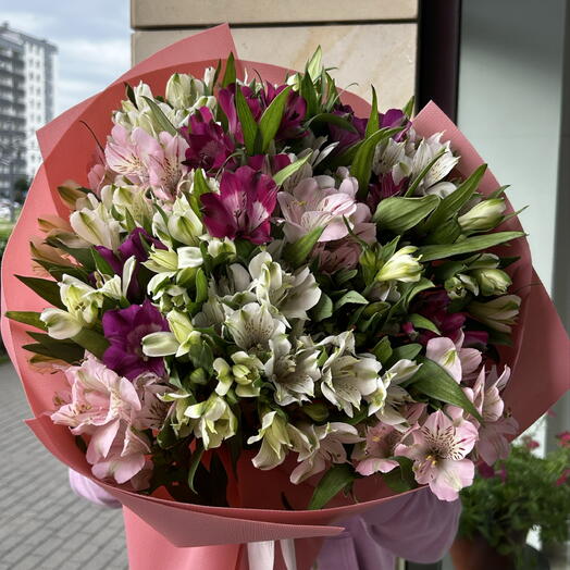 Alstroemeria mix