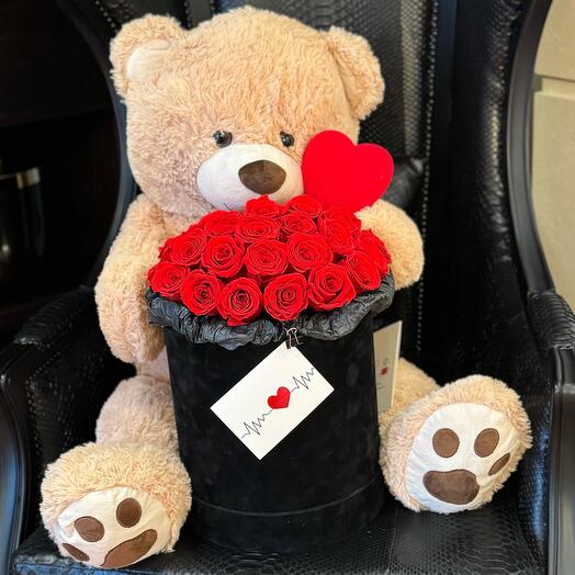 Teddy bear box