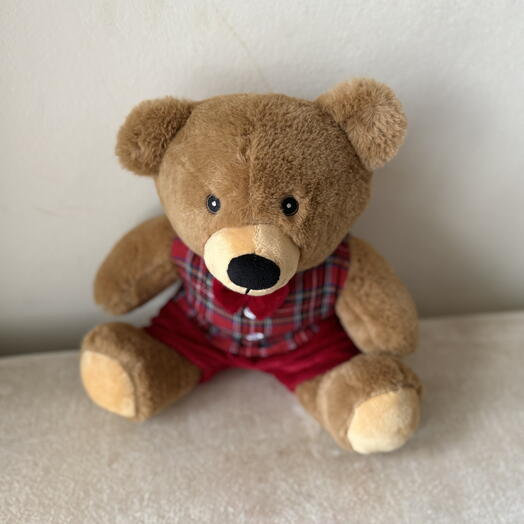 Charming Teddy bear  🧸