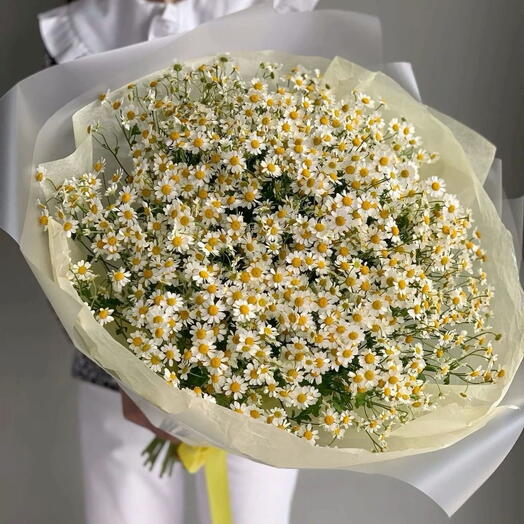 🌼 Bouquet Daisy Whisper