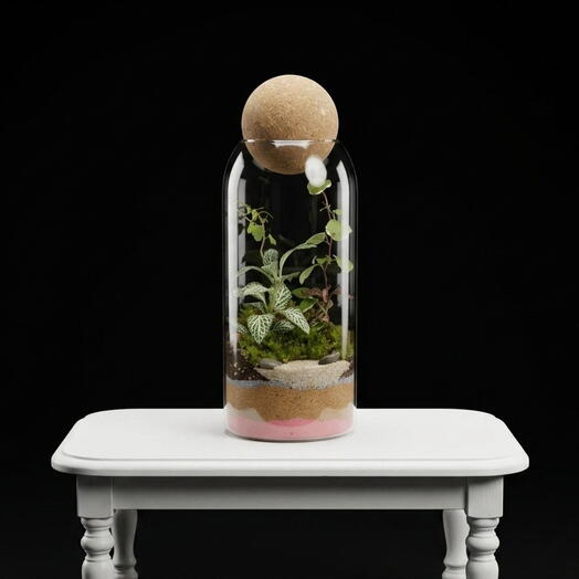 Luma Terrarium