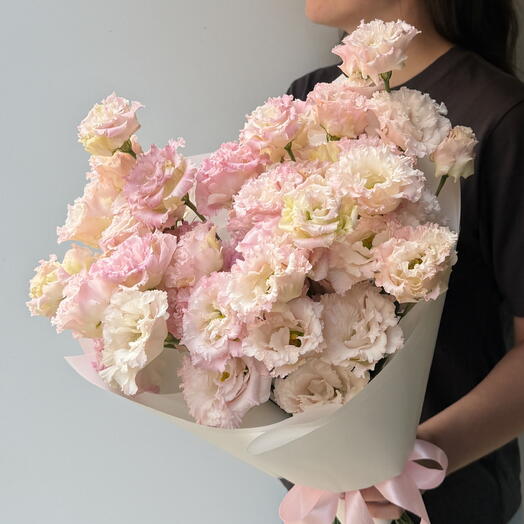 Eustoma rosa 15