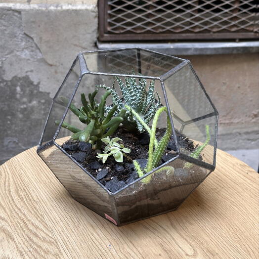 Florarium 43
