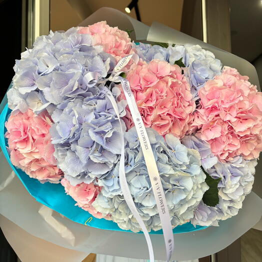 Hydrangea mix