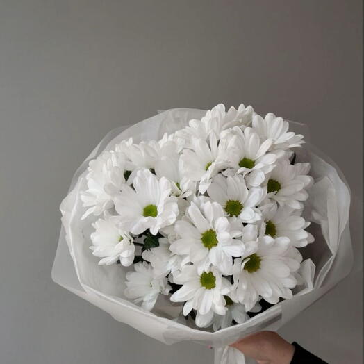 Spray chrysanthemums S