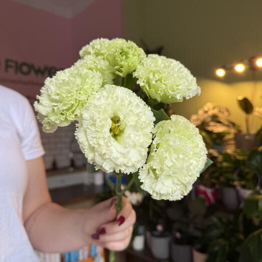 Sprig of eustoma