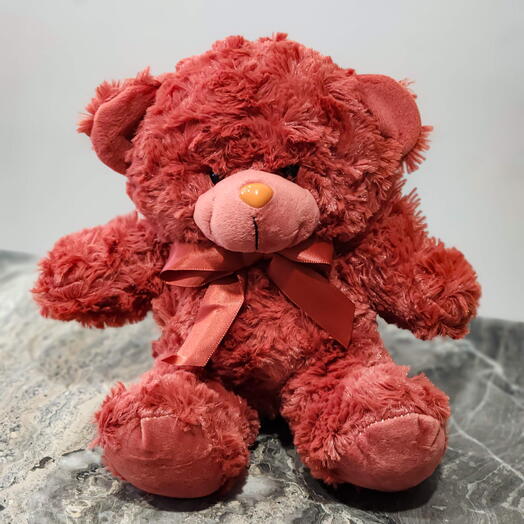Teddy bear funny 🐻