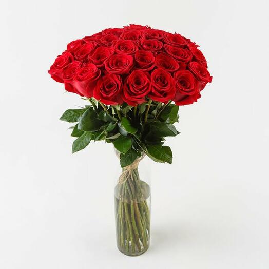 31 red rose