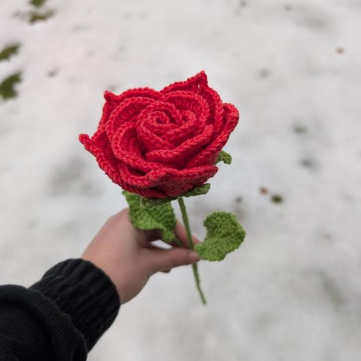 Eternal Rose