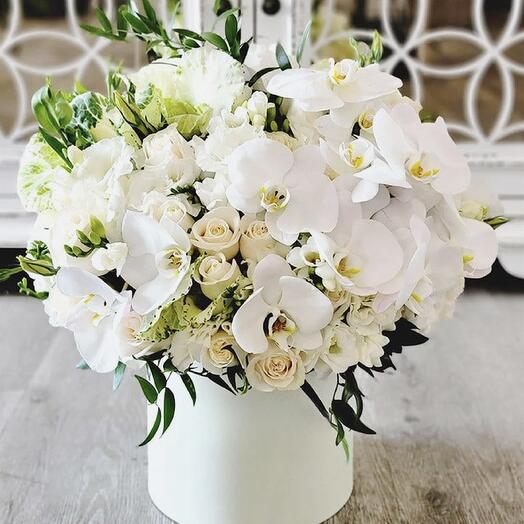 White dream