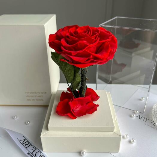 Eternal red heart-shaped rose in a white acrylic tower