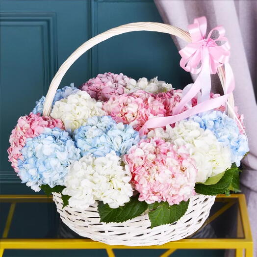 Hortensia