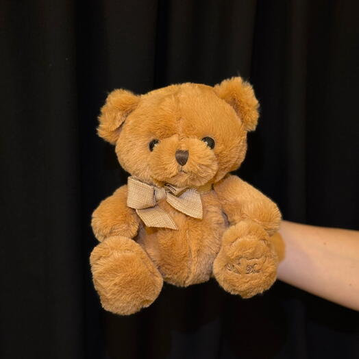 Teddy bear