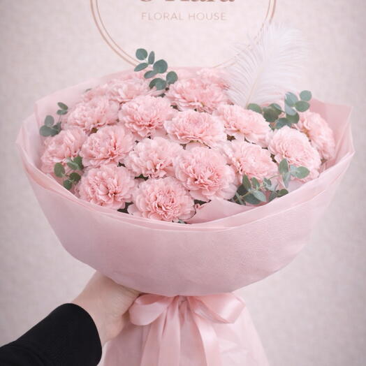 Dianthus - 39 Rosa