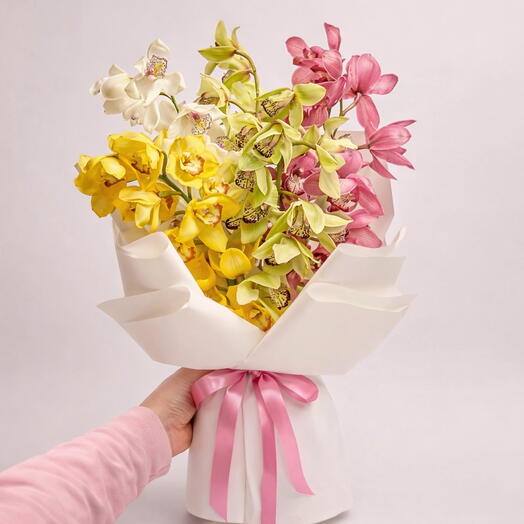 Orchids - Cymbidium Mix