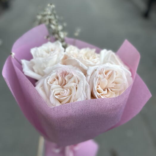 White O hara 5