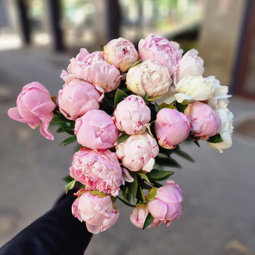 Mix peonies normal