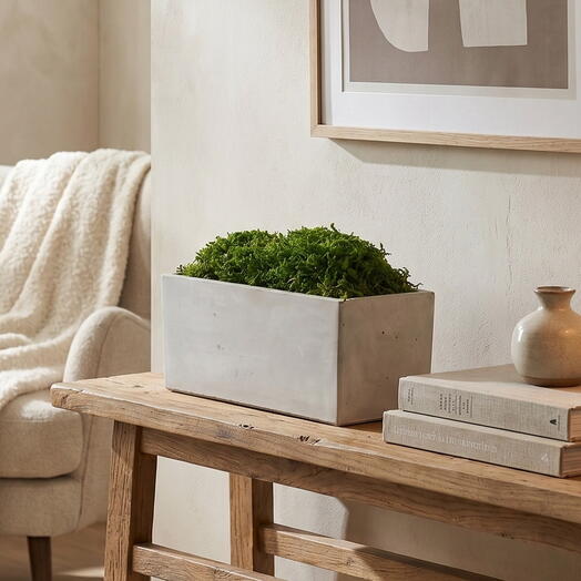 Rectangular Preserved Moss Tabletop Planter