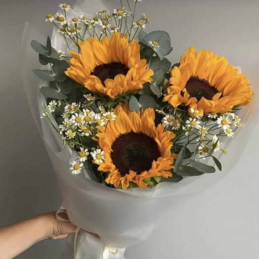 Helianthus + Tanacetum