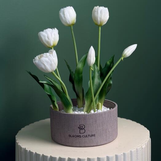 Artificial Ivory Grace