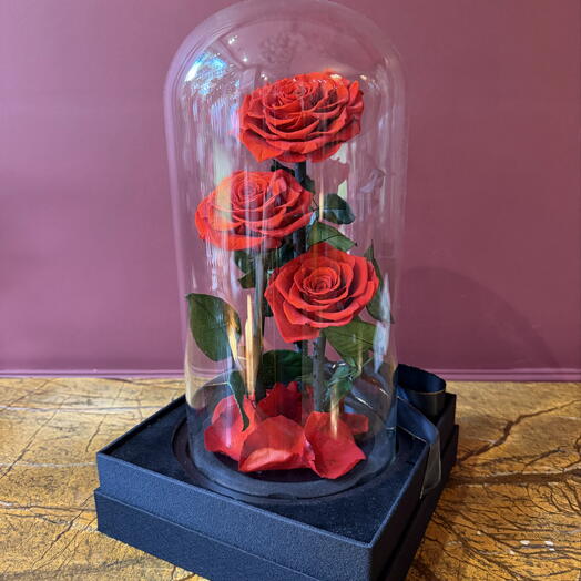 Forever 3 Red Roses