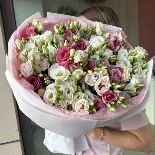 Eustoma Symphony