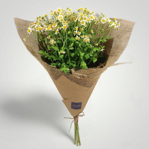 The bouquet "Camilla"
