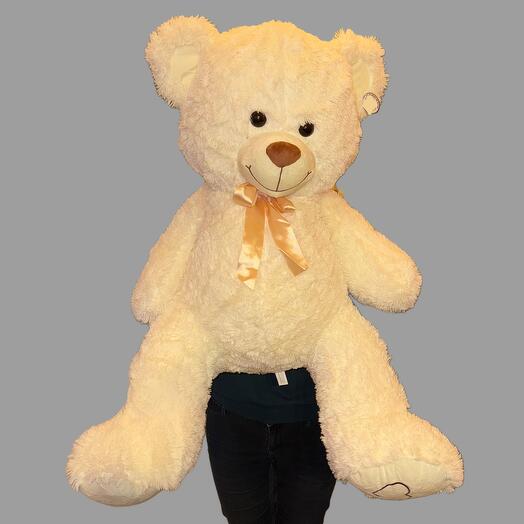 Teddy bear