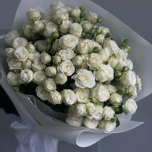 Bouquet di rosa bianca