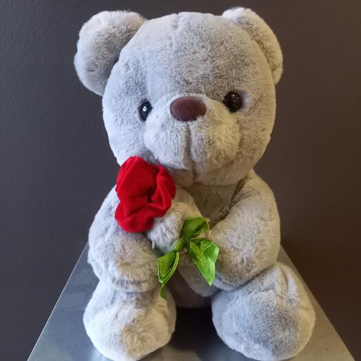 Teddy gray