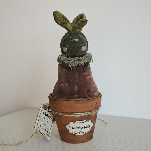Mandragora (pink‑eyed)