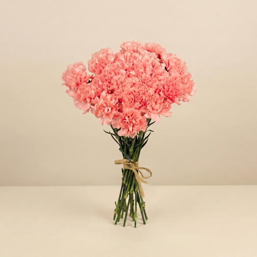 Bouquet of Pink Carnations